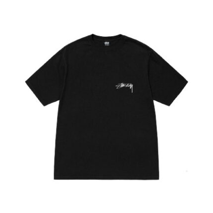 Stussy Arachnid Pigment Noir T-Shirt