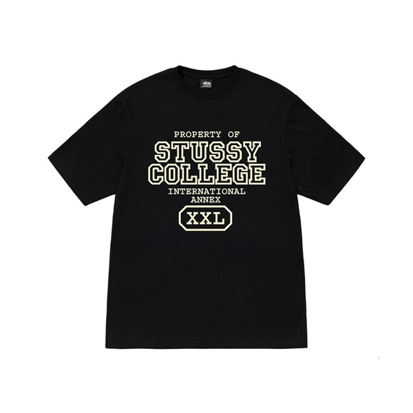 Stussy Propriété DE Noir T-Shirt